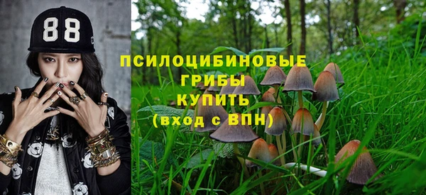 a pvp Краснослободск