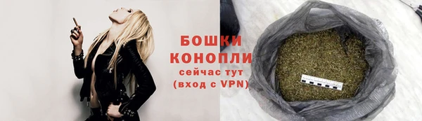 индика Красноперекопск