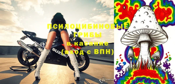 индика Красноперекопск