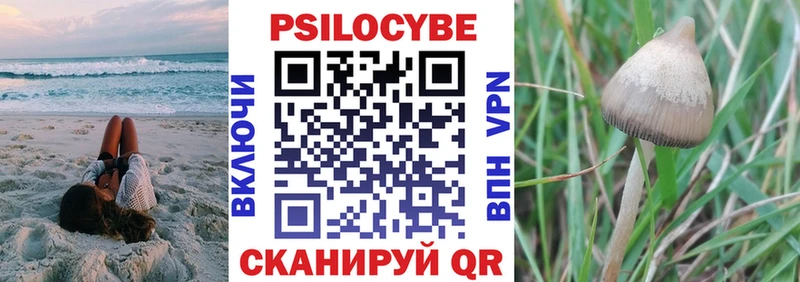 Галлюциногенные грибы MAGIC MUSHROOMS  Купить  Игра 